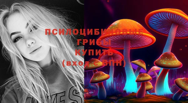 синтетический гашиш Михайловка