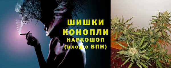 шишки Алзамай