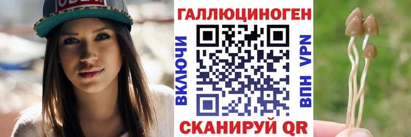 блэк спрут рабочий сайт  Железногорск  Псилоцибиновые грибы прущие грибы 